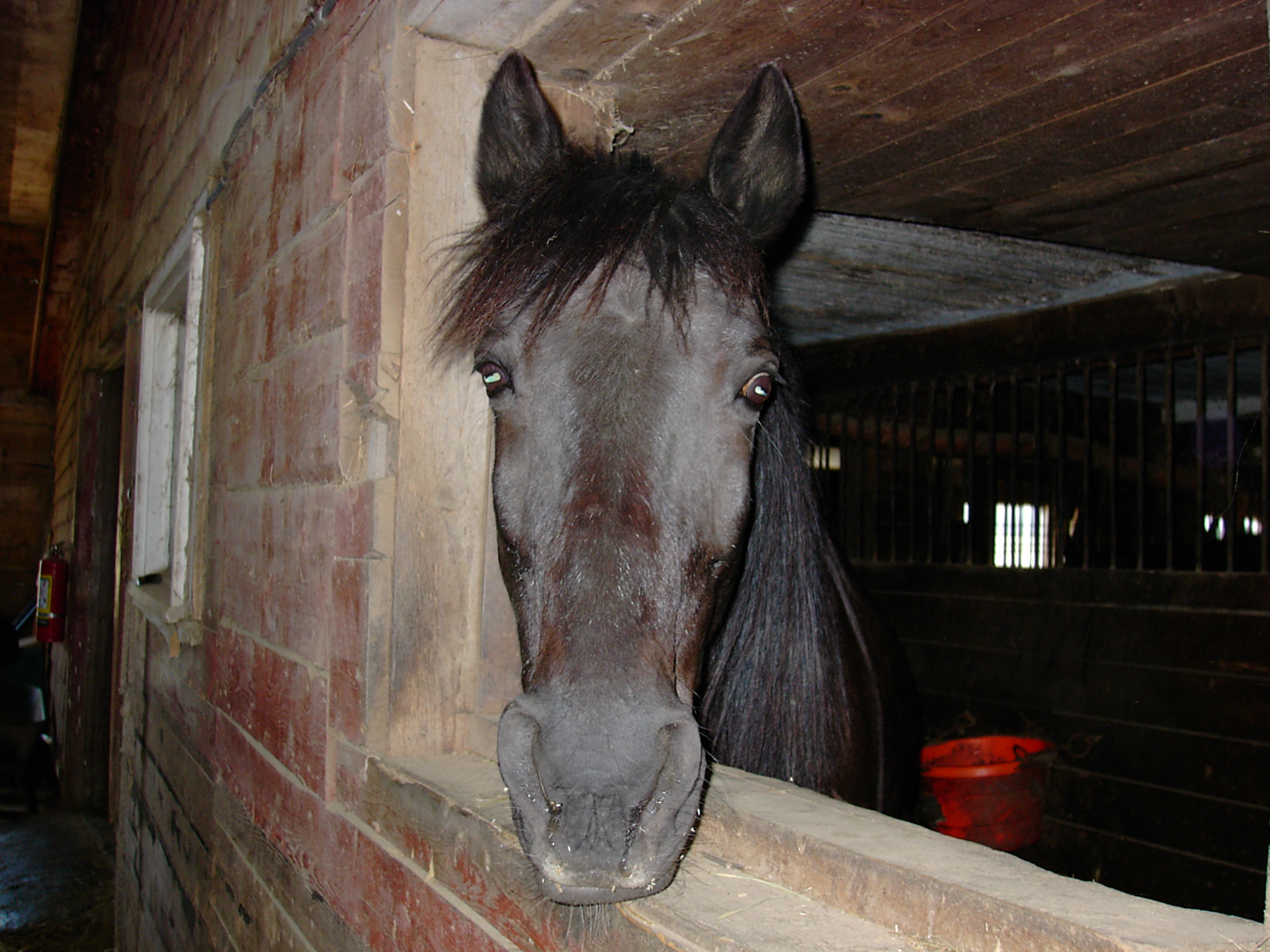 boulderwood005.jpg